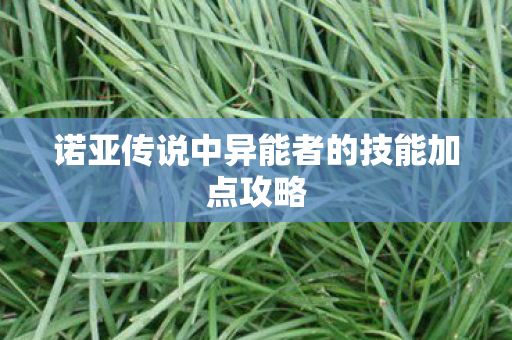 诺亚传说中异能者的技能加点攻略图片