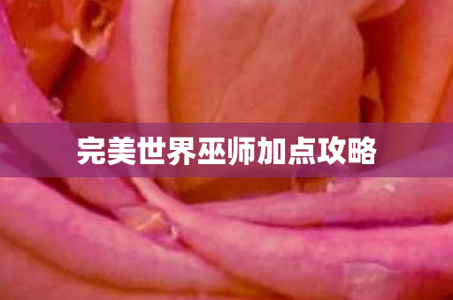 完美世界巫师加点攻略图片
