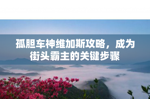 成为街头霸主的关键步骤图片