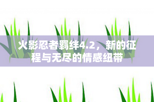 新的征程与无尽的情感纽带图片