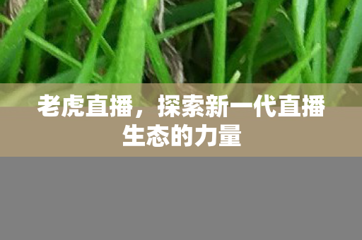 探索新一代直播生态的力量图片
