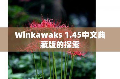 Winkawaks 1图片