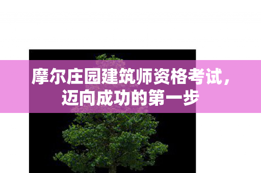 摩尔庄园建筑师资格考试图片