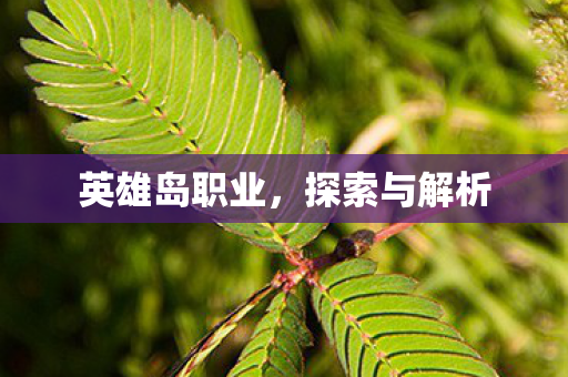 英雄岛职业图片