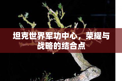 荣耀与战略的结合点图片