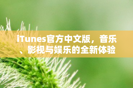 iTunes官方中文版图片