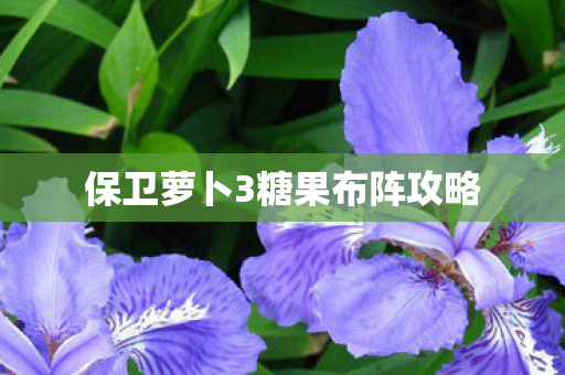 保卫萝卜3糖果布阵攻略图片