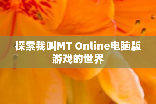 探索我叫MT Online电脑版游戏的世界图片
