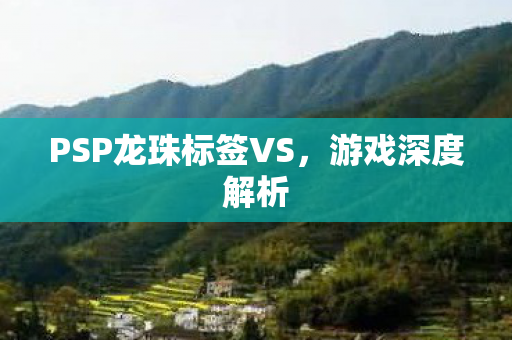 PSP龙珠标签VS图片