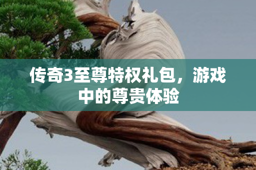 传奇3至尊特权礼包图片