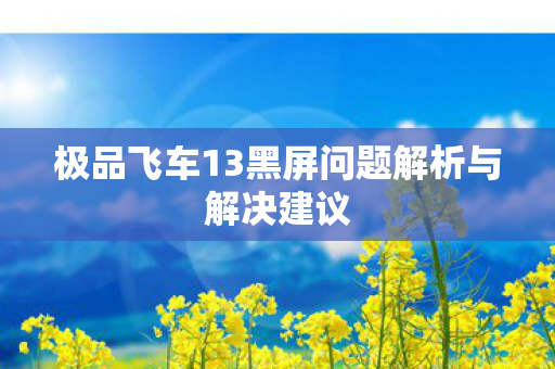 极品飞车13黑屏问题解析与解决建议图片