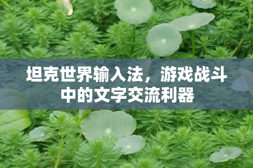 游戏战斗中的文字交流利器图片