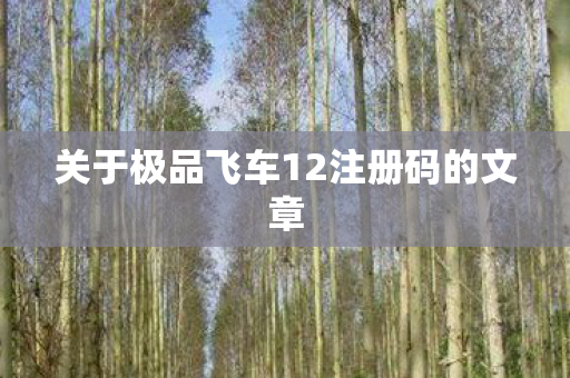 关于极品飞车12注册码的文章图片