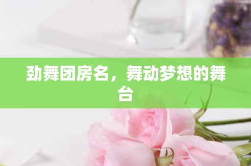 舞动梦想的舞台图片