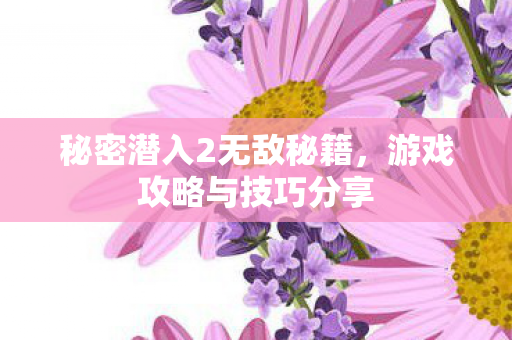 秘密潜入2无敌秘籍图片