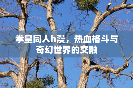 热血格斗与奇幻世界的交融图片
