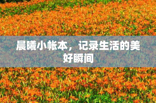 记录生活的美好瞬间图片