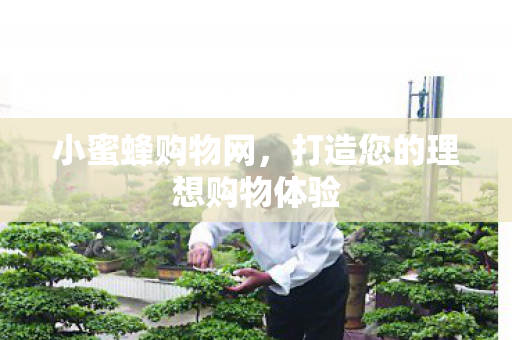 打造您的理想购物体验图片