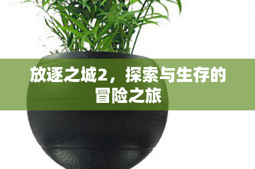 探索与生存的冒险之旅图片