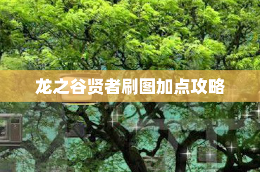 龙之谷贤者刷图加点攻略图片