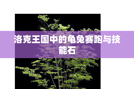 洛克王国中的龟兔赛跑与技能石图片