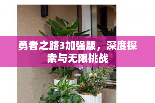 深度探索与无限挑战图片
