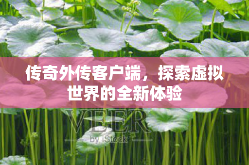 探索虚拟世界的全新体验图片