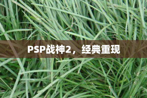 PSP战神2图片