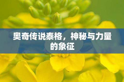 神秘与力量的象征图片