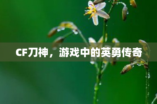 游戏中的英勇传奇图片