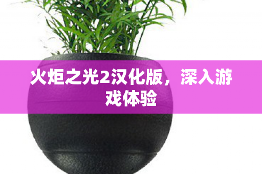 火炬之光2汉化版图片