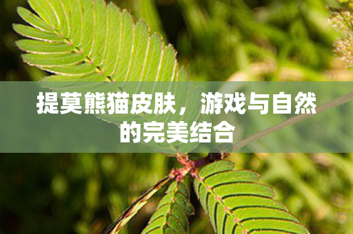 游戏与自然的完美结合图片