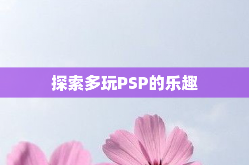 探索多玩PSP的乐趣图片
