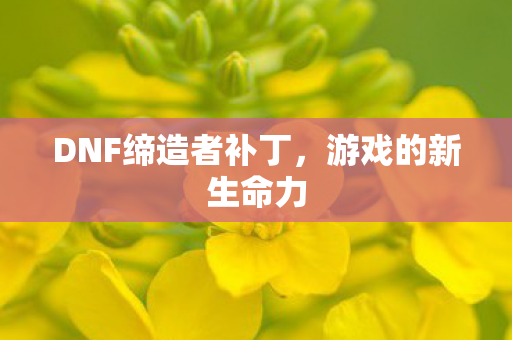 DNF缔造者补丁图片