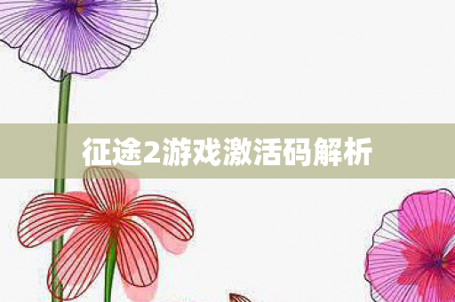 征途2游戏激活码解析图片