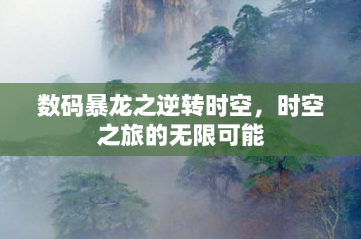 数码暴龙之逆转时空图片