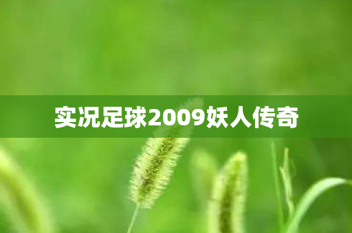 实况足球2009妖人传奇图片