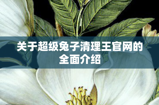 关于超级兔子清理王官网的全面介绍图片