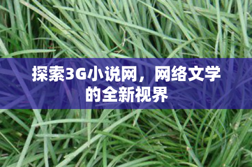 网络文学的全新视界图片