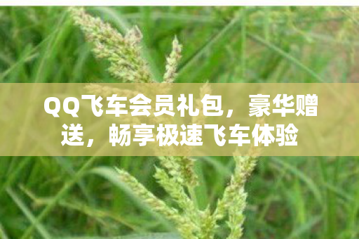 QQ飞车会员礼包图片