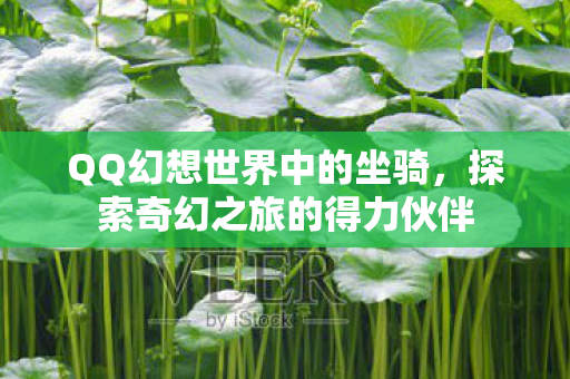 探索奇幻之旅的得力伙伴图片