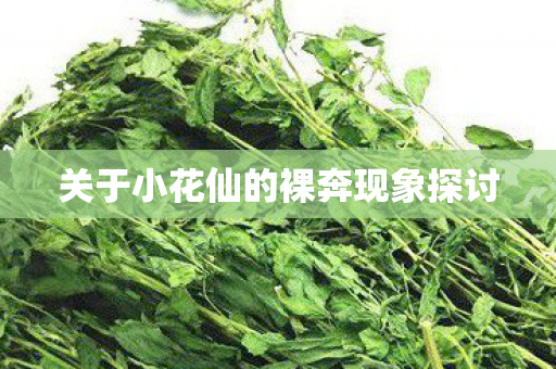 关于小花仙的裸奔现象探讨图片