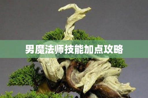 男魔法师技能加点攻略图片