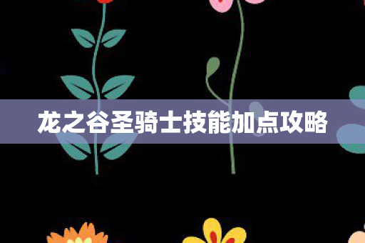 龙之谷圣骑士技能加点攻略图片