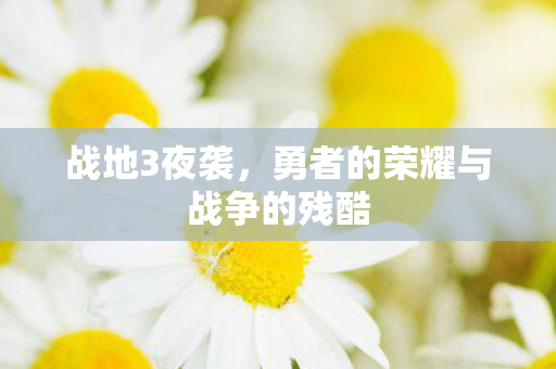 勇者的荣耀与战争的残酷图片