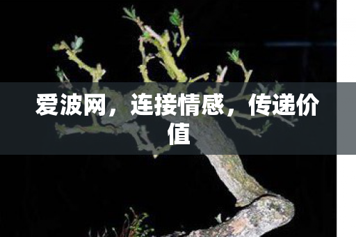 连接情感图片