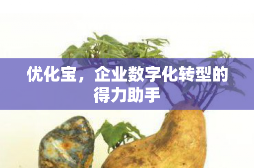 企业数字化转型的得力助手图片
