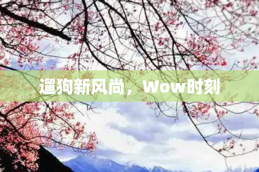 遛狗新风尚图片
