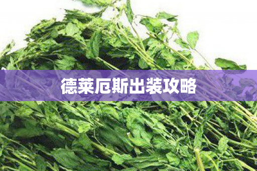 德莱厄斯出装攻略图片