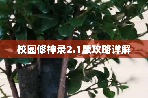校园修神录2图片